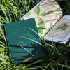 Kindred Spirits: Plants and People Shannon Brett