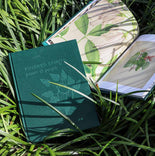 Kindred Spirits: Plants and People Shannon Brett